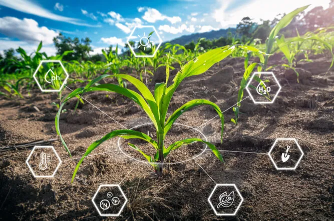 एआई के साथ सटीक कृषि में बदलाव