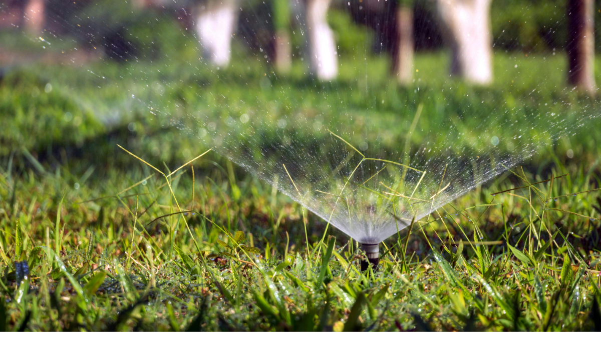 जल उपयोग और सिंचाई