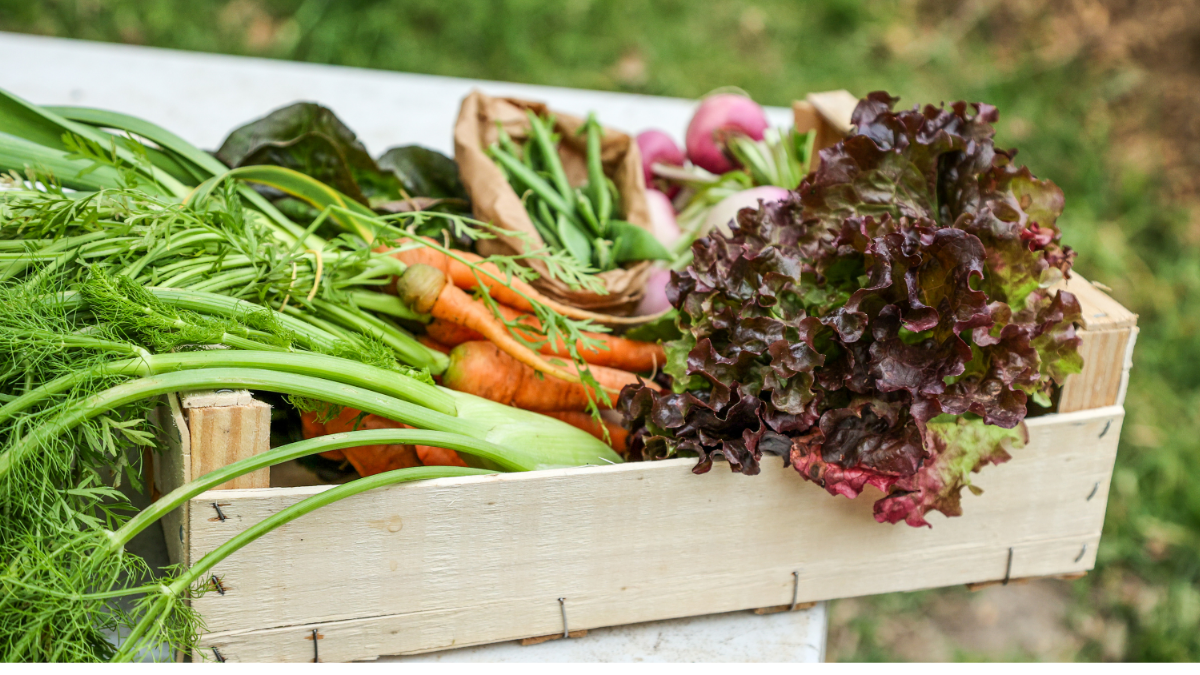 जैविक खेती