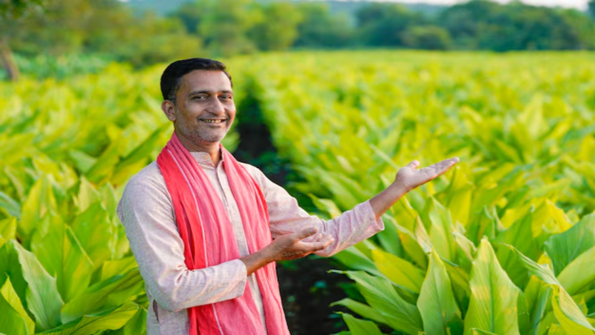 जैविक खेती को बढ़ावा मिले जैविक खेती को बढ़ावा मिले