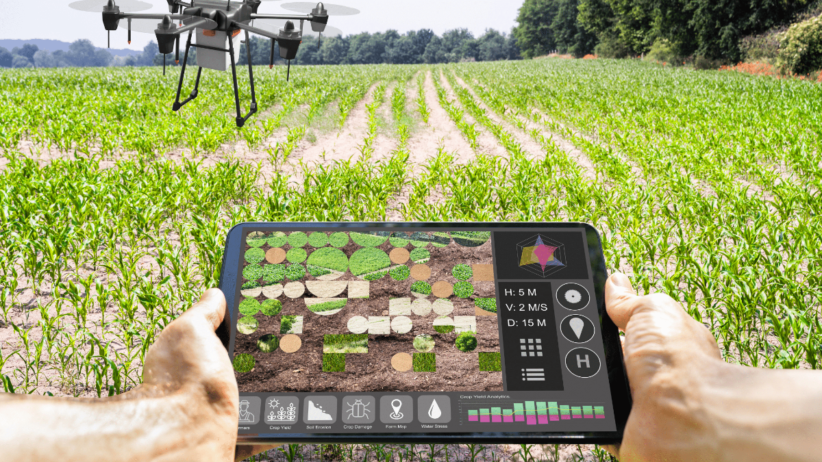 परिशुद्ध कृषि