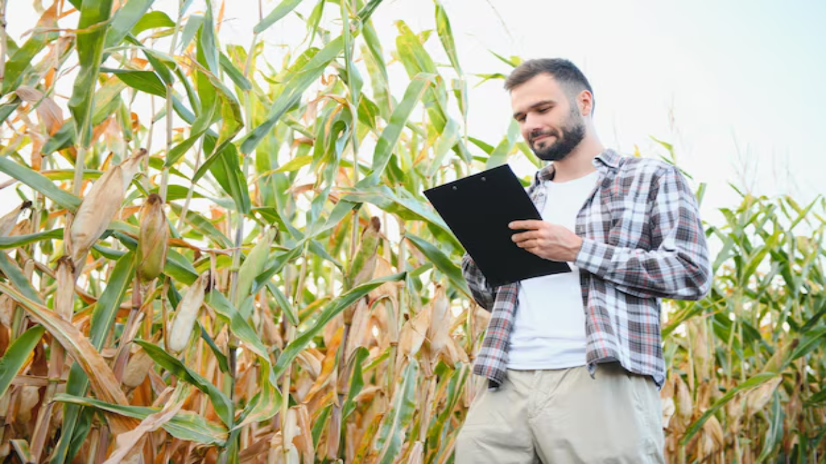 विश्व स्तर पर परिशुद्ध कृषि