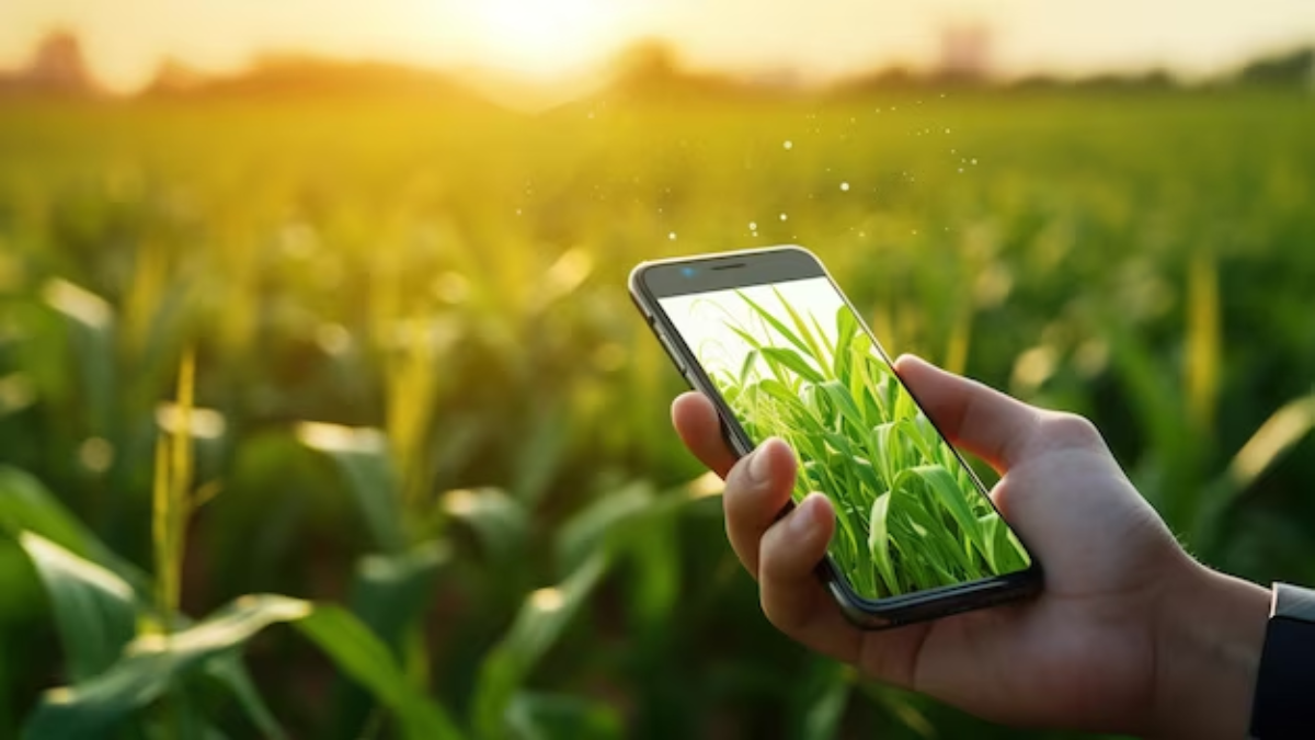 सटीक कृषि में AI और मशीन लर्निंग