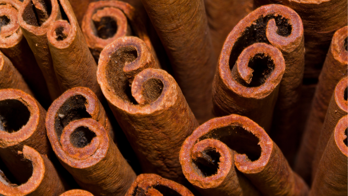 Easy Methods to Propagate Cinnamon Plants