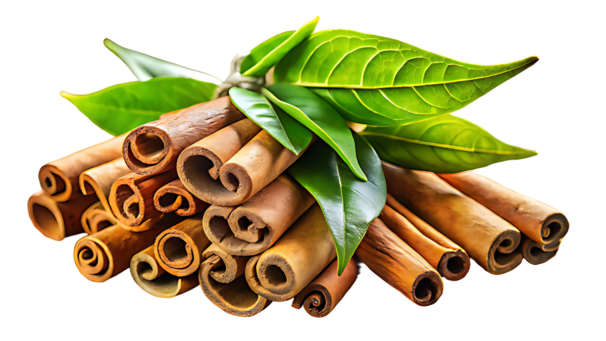 Grow Cinnamon