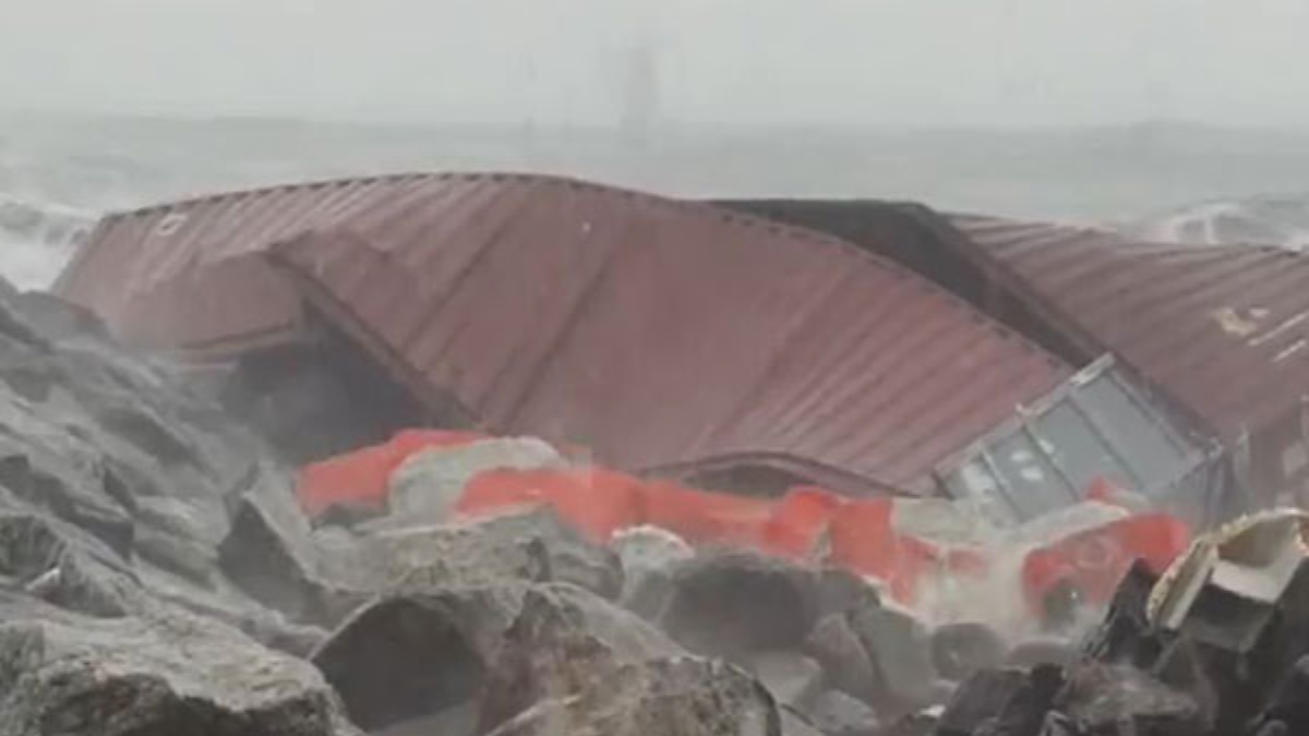 MSC ELSA-3 जहाज़ के कंटेनर बहकर पहुंचे