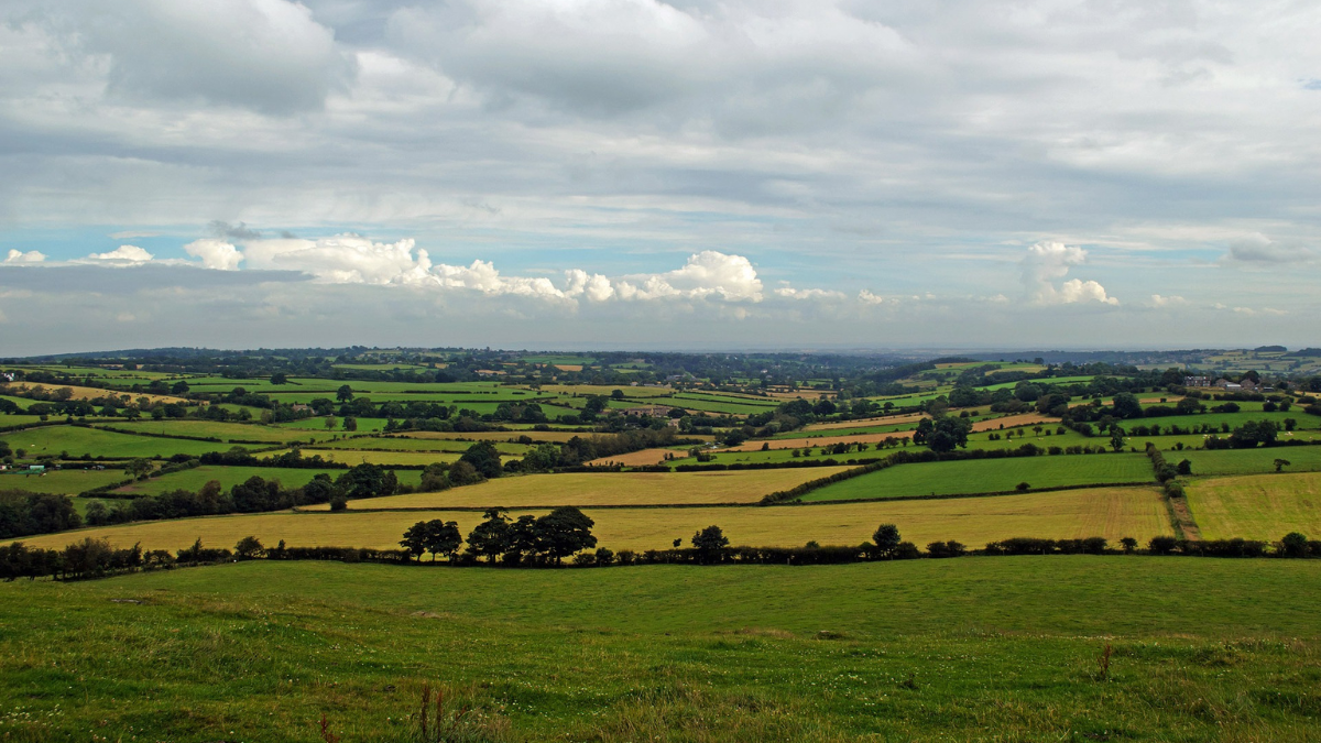 ओडिशा सरकार का नया कदम